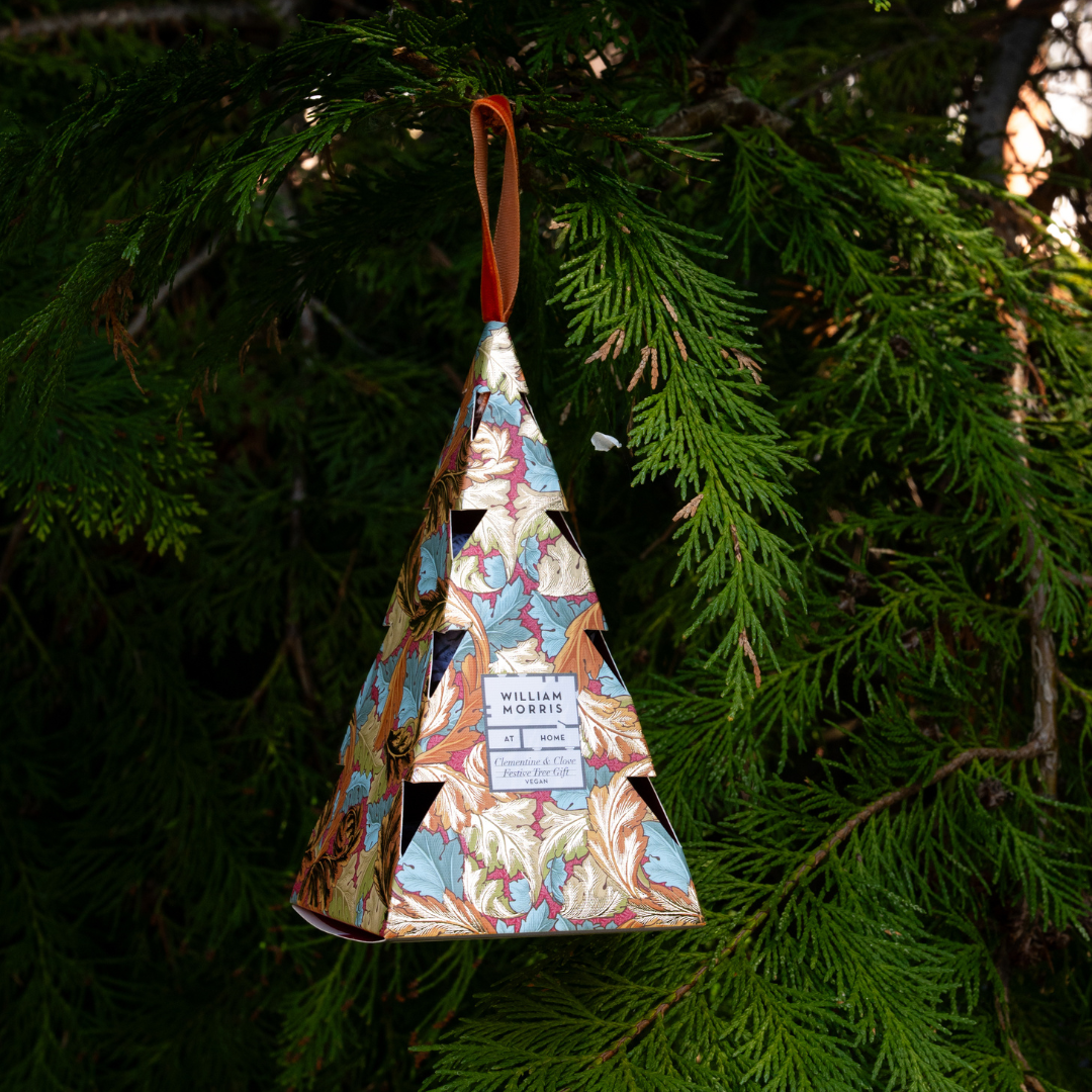 Oak &amp; Willow Festive Tree Gift