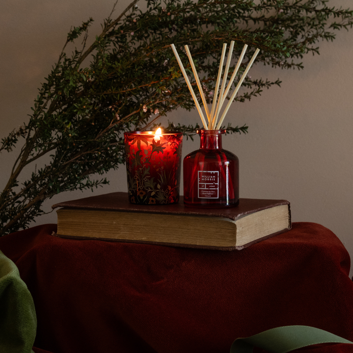 Clementine &amp; Clove Diffuser &amp; Candle Set