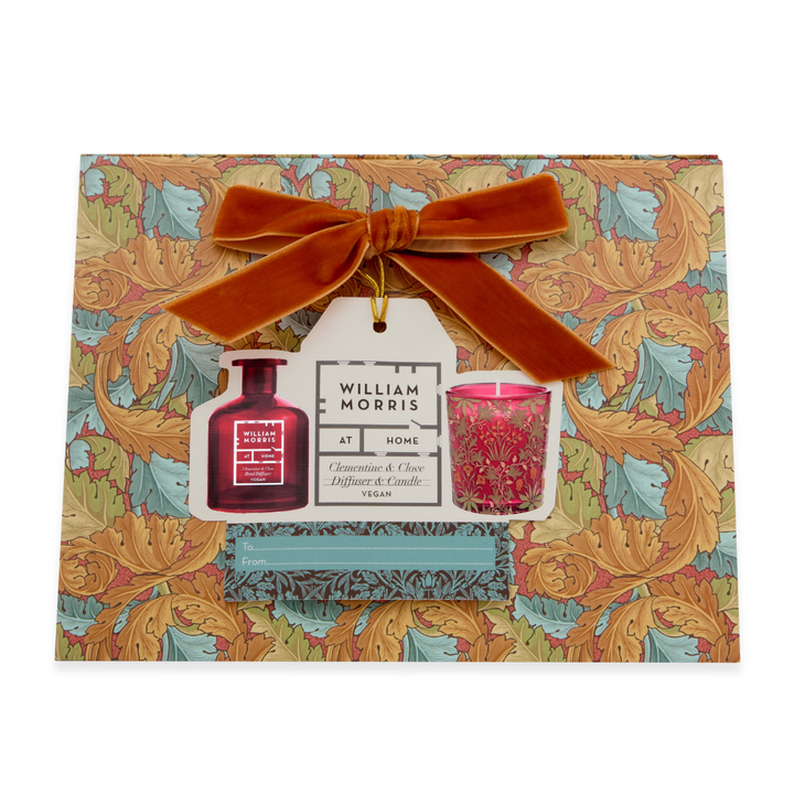 Clementine &amp; Clove Diffuser &amp; Candle Set