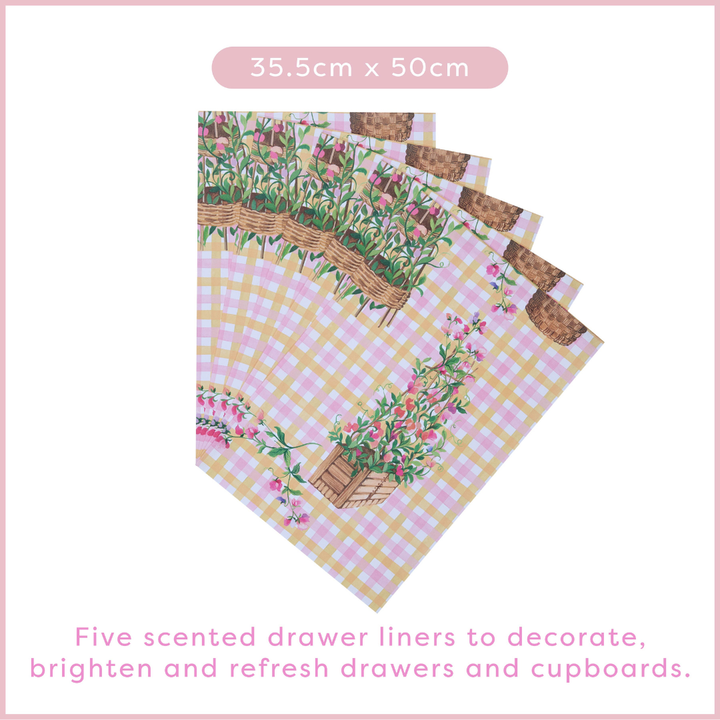 Sweet Pea Scented Drawer Liners