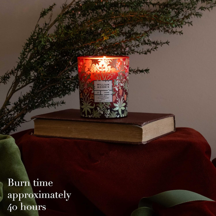 Oak &amp; Willow Cedar Spice Scented Candle