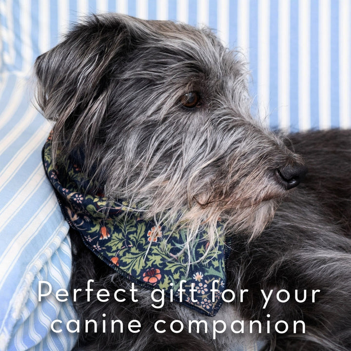 Canine Companion Dog Bandana and Hand Cream Gift