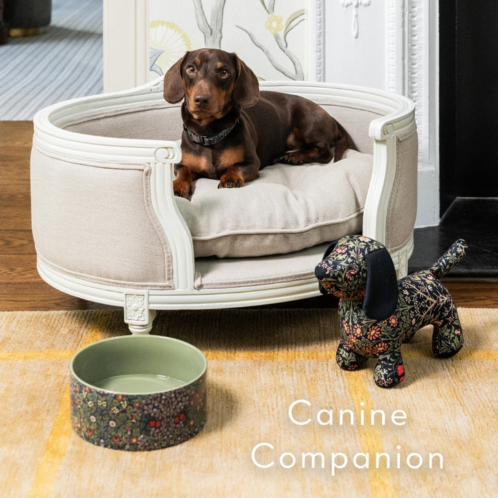 Canine Companion Ceramic Feeding Bowl