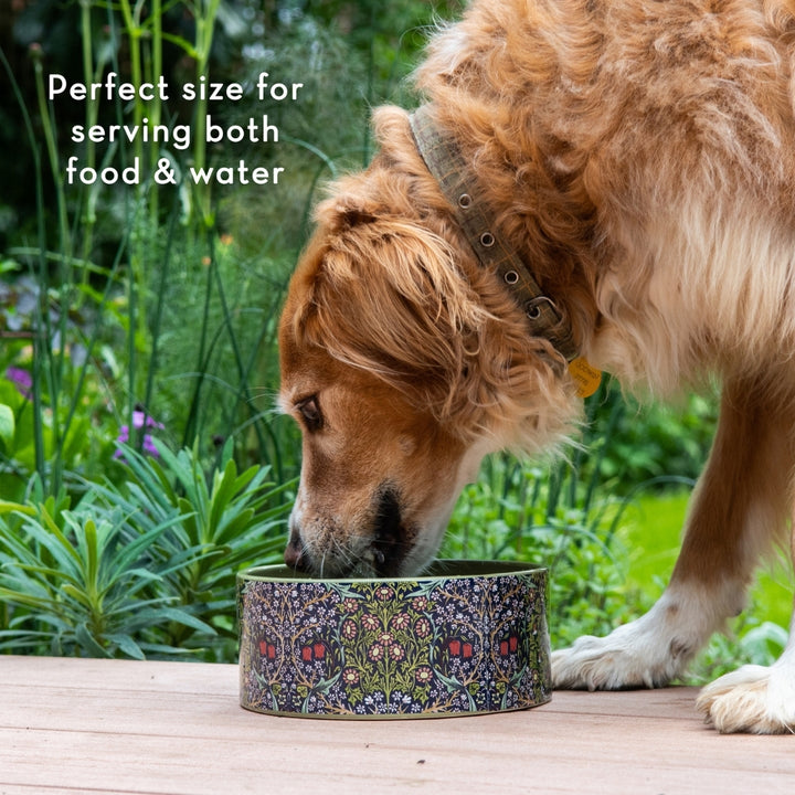 Canine Companion Ceramic Feeding Bowl