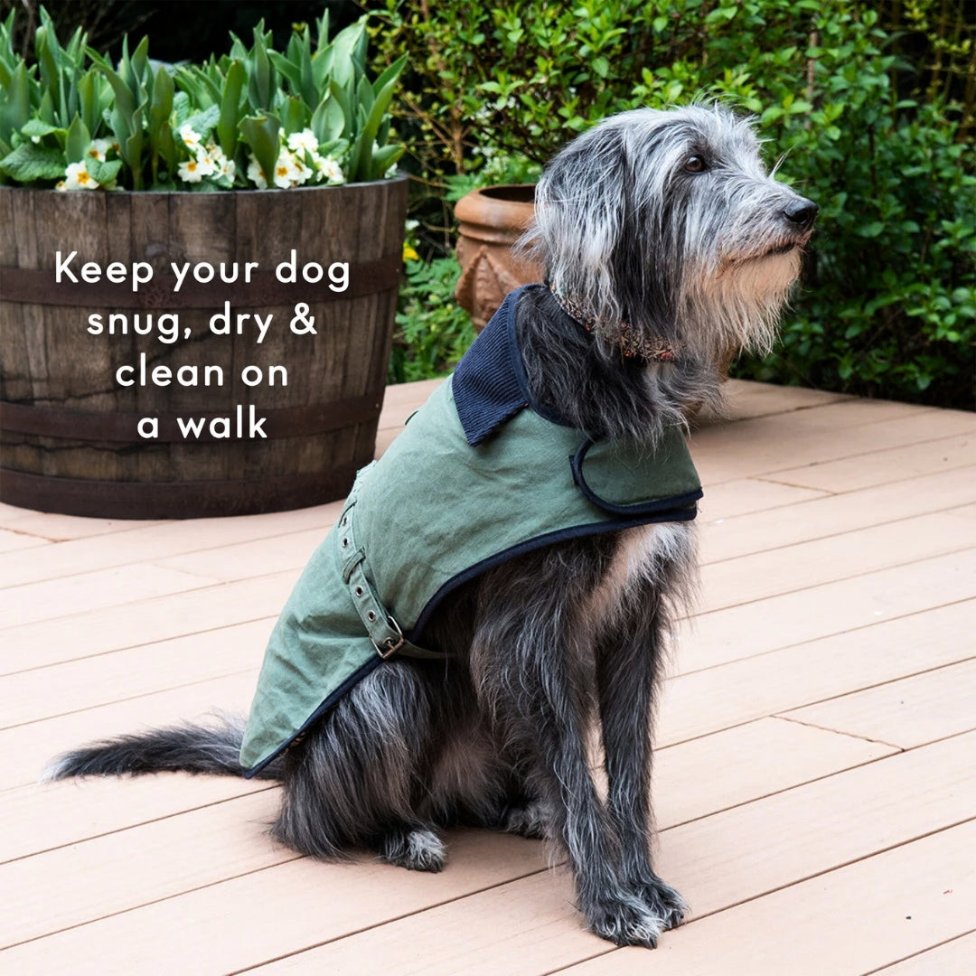 Canine Companion Waxed Cotton Dog Coat Small – Heathcote Ivory