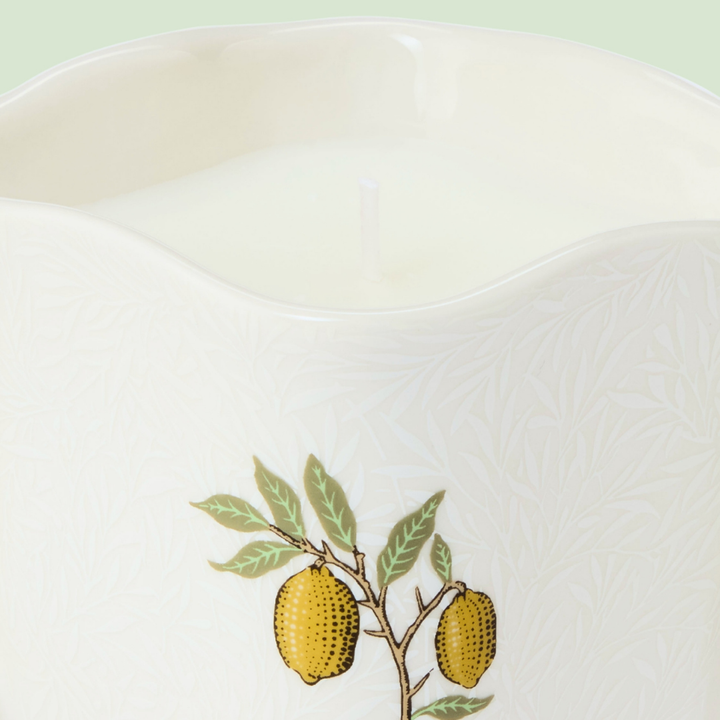 The Modern Homemaker Indoor & Outdoor Scented Candle