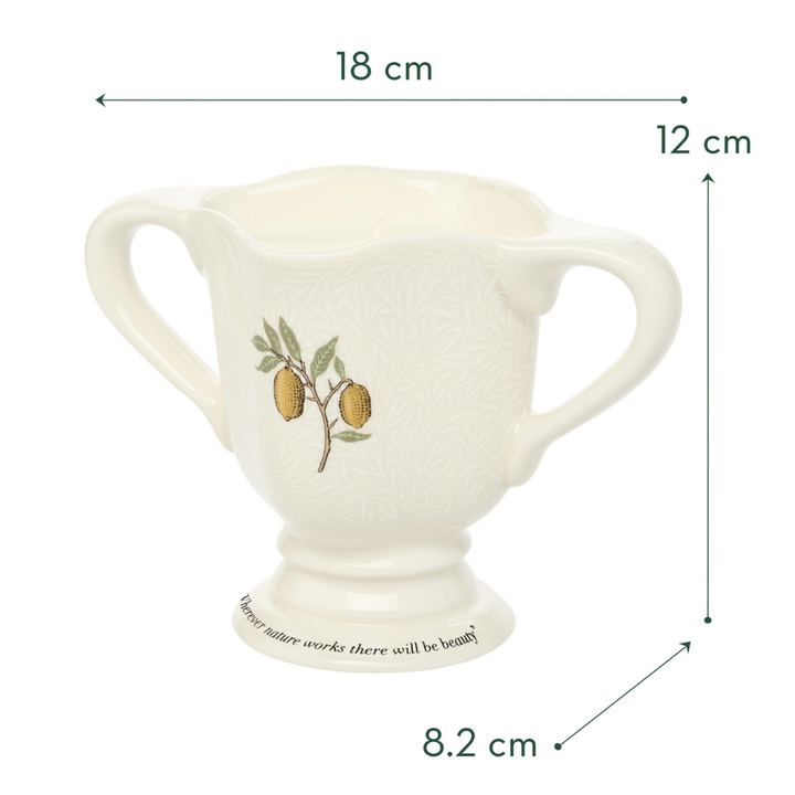 The Modern Homemaker Indoor & Outdoor Scented Candle