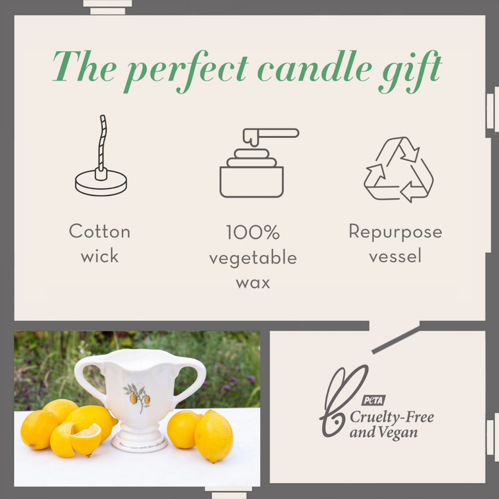The Modern Homemaker Indoor & Outdoor Scented Candle