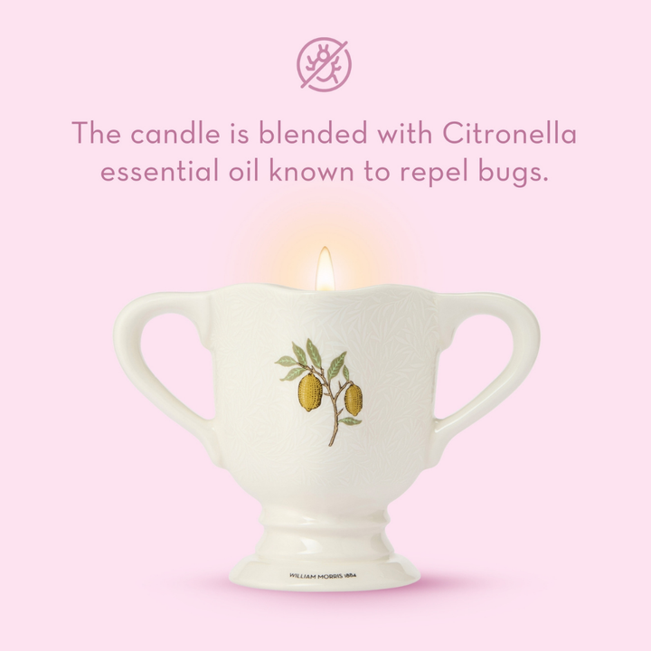 The Modern Homemaker Indoor & Outdoor Scented Candle