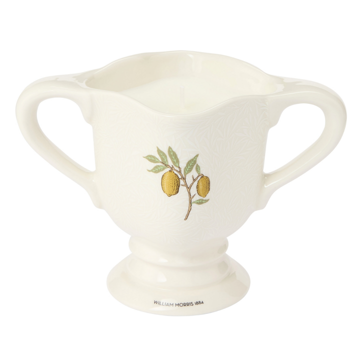 The Modern Homemaker Indoor & Outdoor Scented Candle
