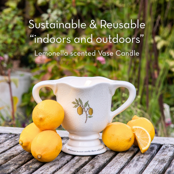 The Modern Homemaker Indoor & Outdoor Scented Candle