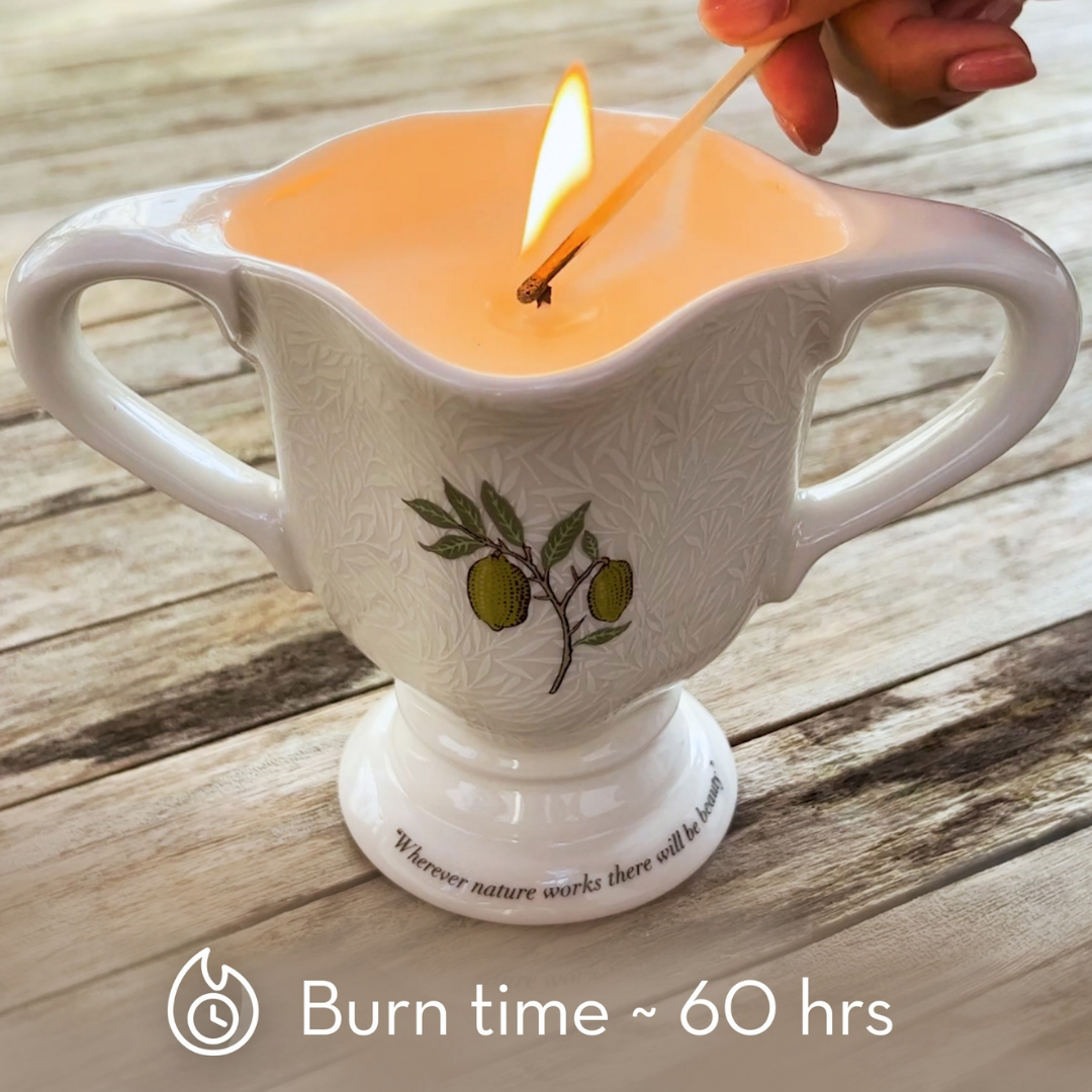 The Modern Homemaker Indoor & Outdoor Scented Candle
