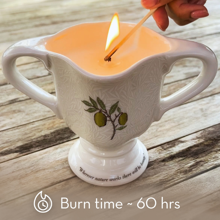 The Modern Homemaker Indoor & Outdoor Scented Candle