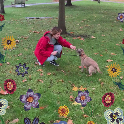 Myrtle Woods Dog Walker's Mini Must-Haves